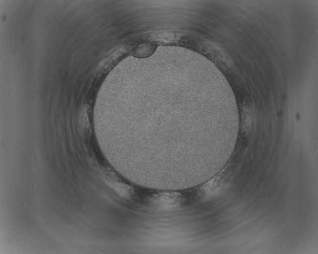 X0000067370128200604281800