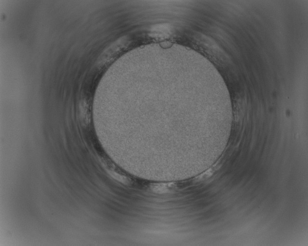 X0000067370136200604281800