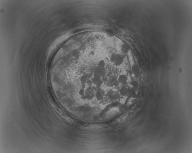 X0000067370149200604281759