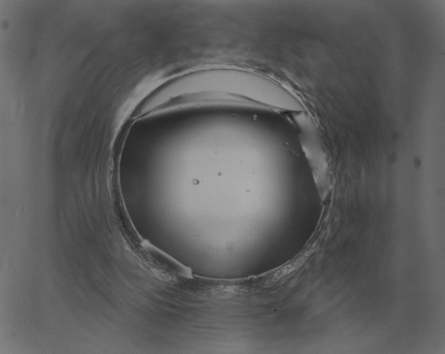 X0000067370152200604281759