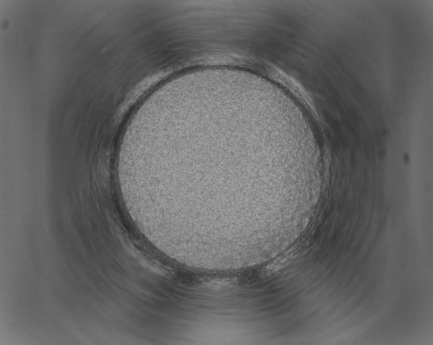 X0000067370155200604281759