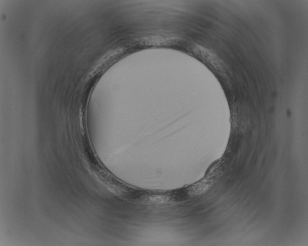 X0000067370163200604281800
