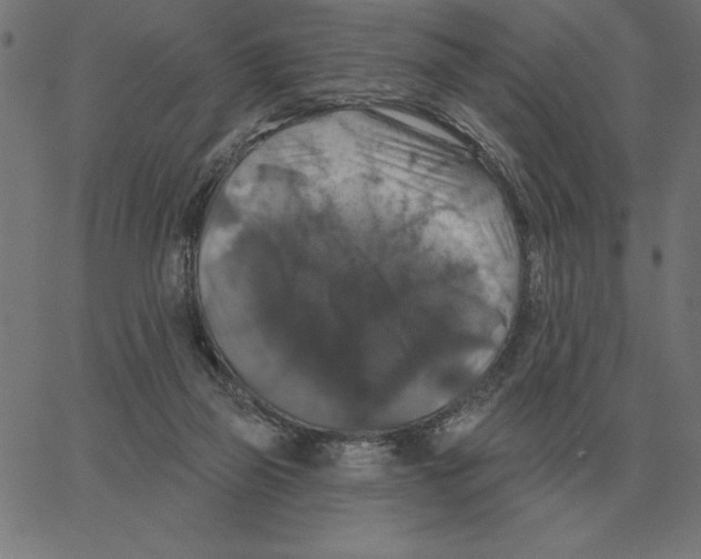 X0000067370165200604281800