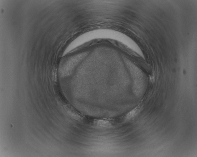 X0000067370180200604281800