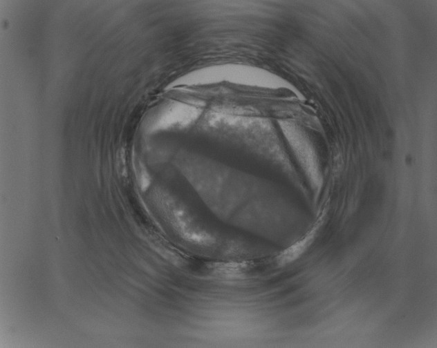 X0000067370182200604281800