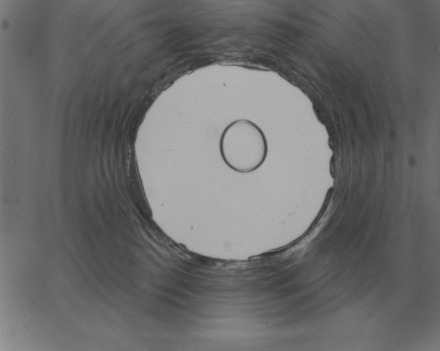X0000067370186200604281800