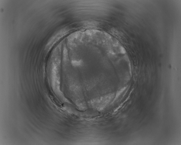 X0000067370194200604281759