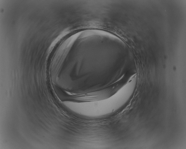 X0000067370200200604281759