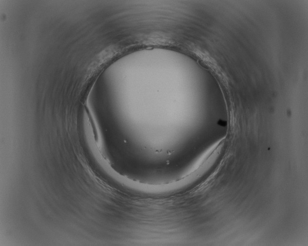 X0000067370201200604281759
