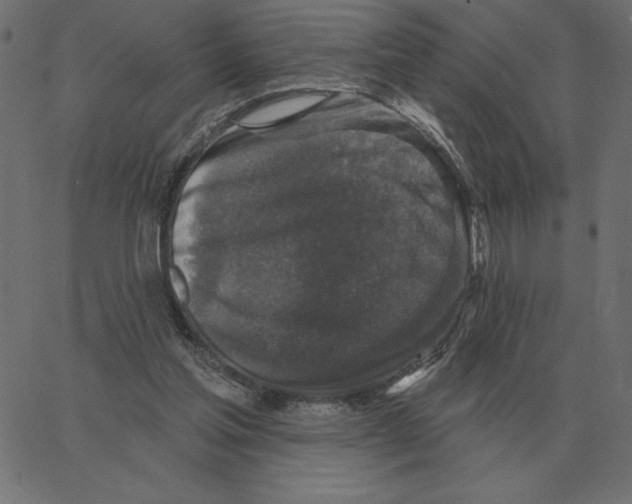 X0000067370205200604281759
