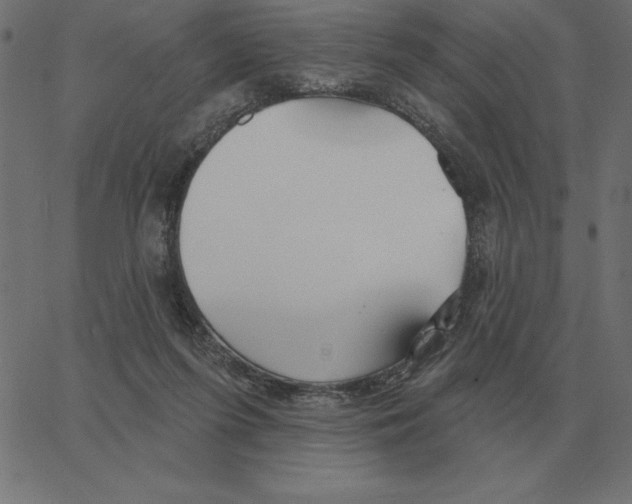 X0000067370215200604281759