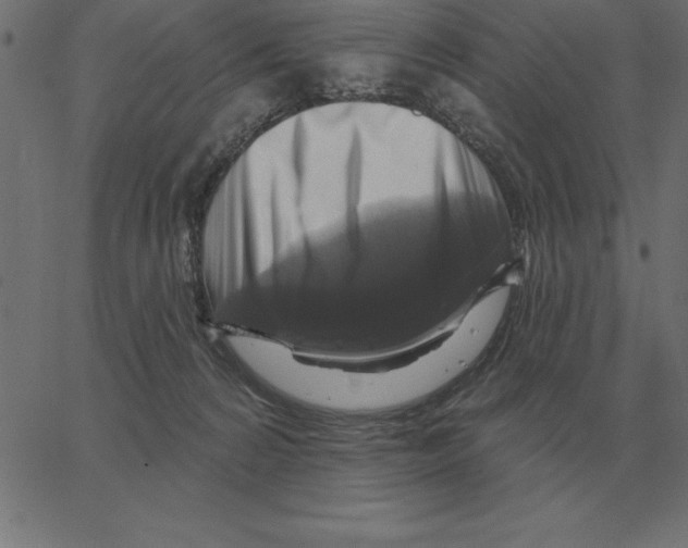 X0000067370224200604281759