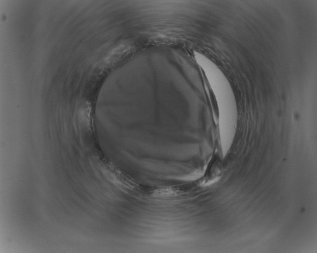 X0000067370231200604281759