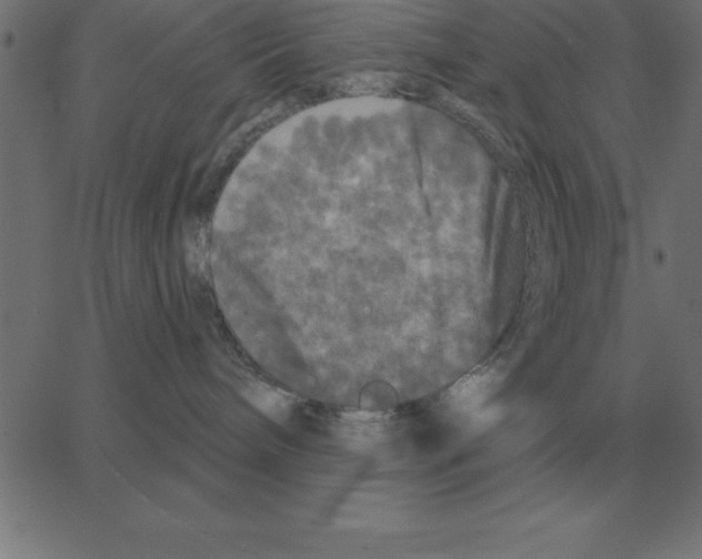 X0000067370240200604281758