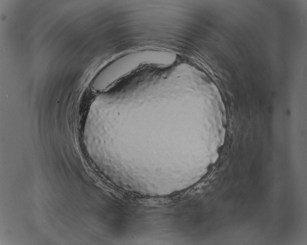 X0000067370241200604281758