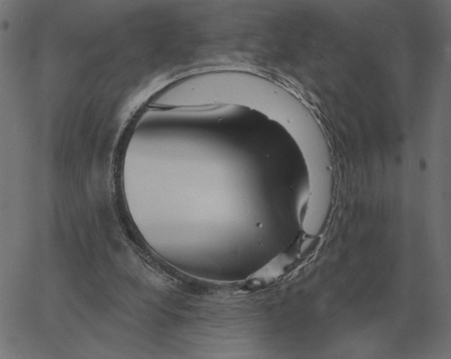 X0000067370248200604281758