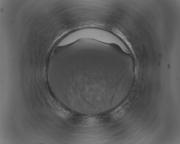 X0000067370249200604281758