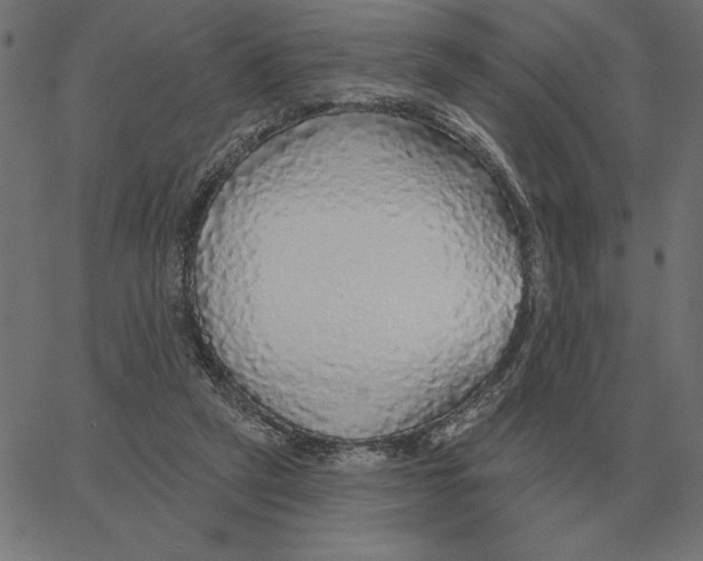 X0000067370257200604281758