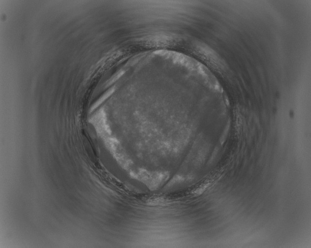 X0000067370258200604281758