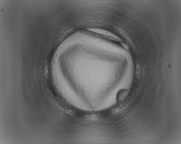 X0000067370259200604281758