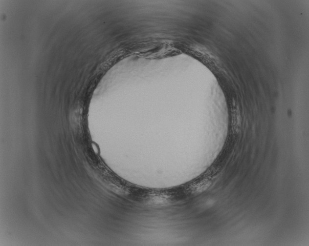 X0000067370263200604281758