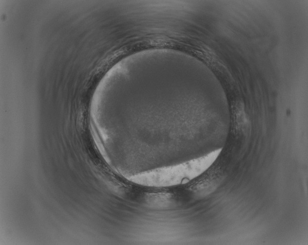X0000067370266200604281758