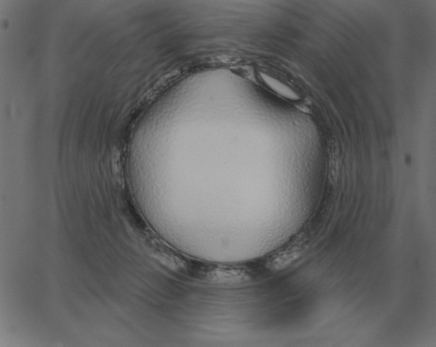 X0000067370270200604281758