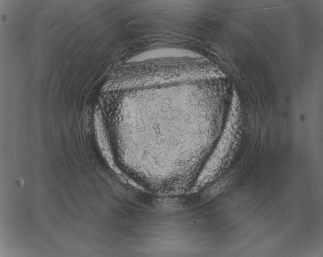X0000067370273200604281758