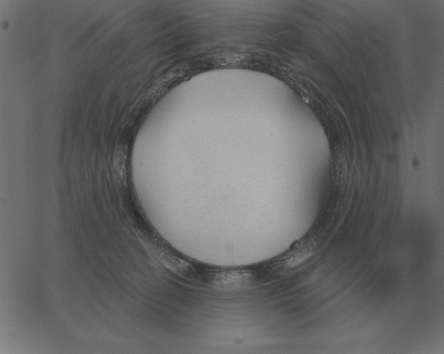X0000067370274200604281758