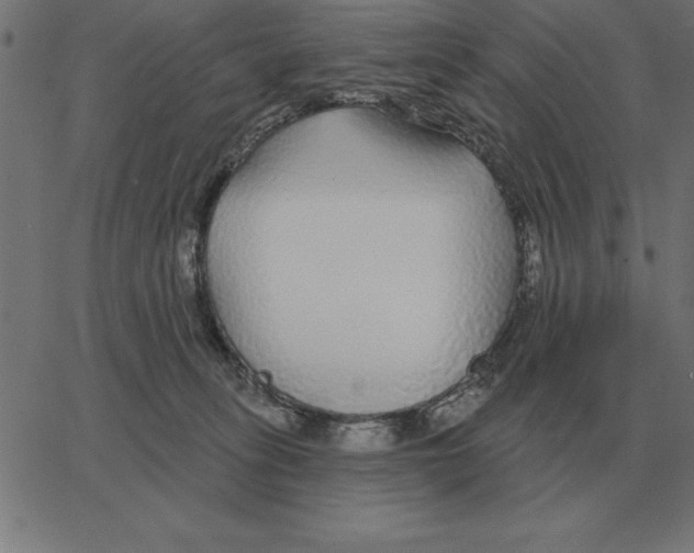 X0000067370275200604281758