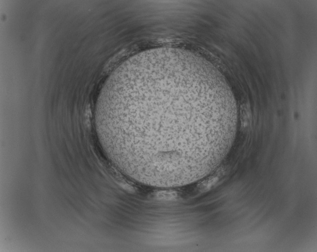 X0000067370279200604281758