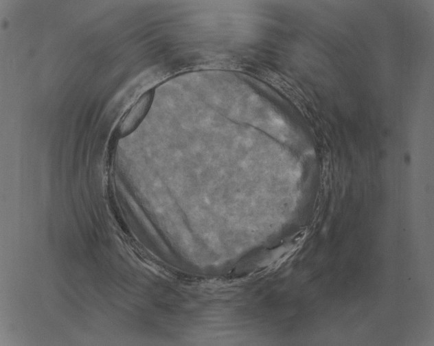 X0000067370290200604281758