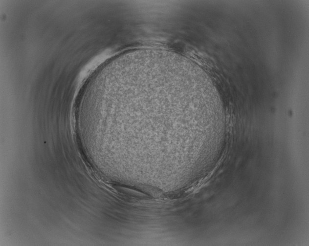 X0000067370294200604281758