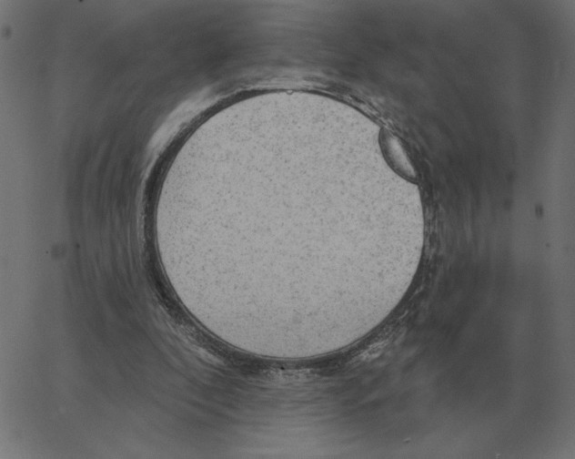 X0000067370296200604281758
