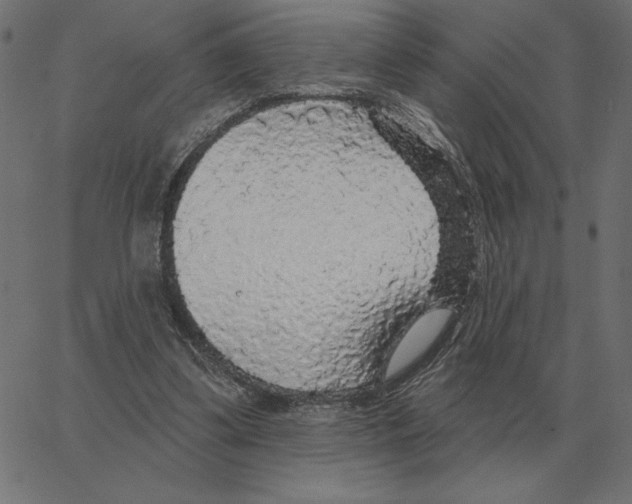 X0000067370299200604281757