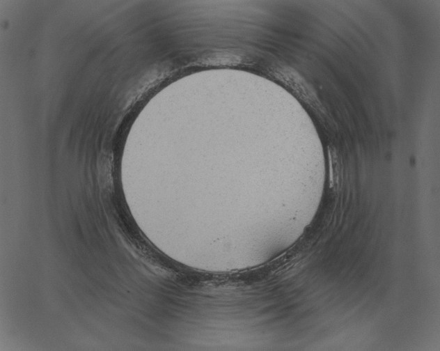 X0000067370300200604281757