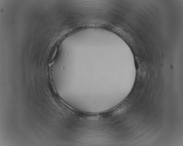 X0000067370306200604281757