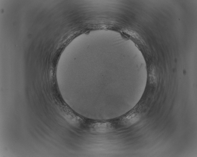 X0000067370314200604281757