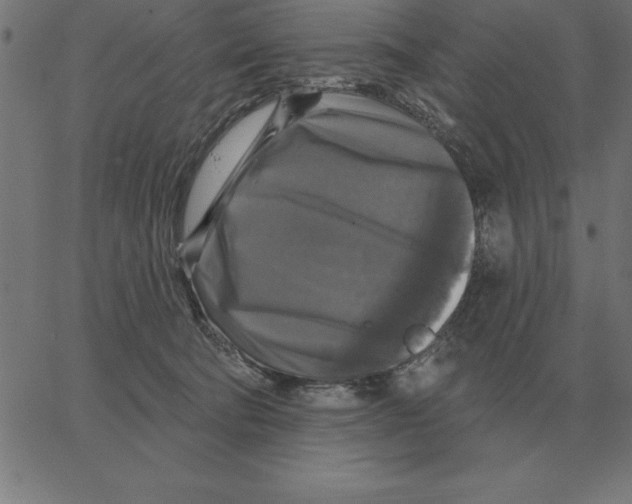 X0000067370322200604281757