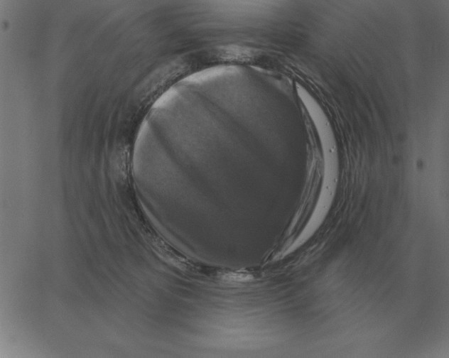 X0000067370325200604281757