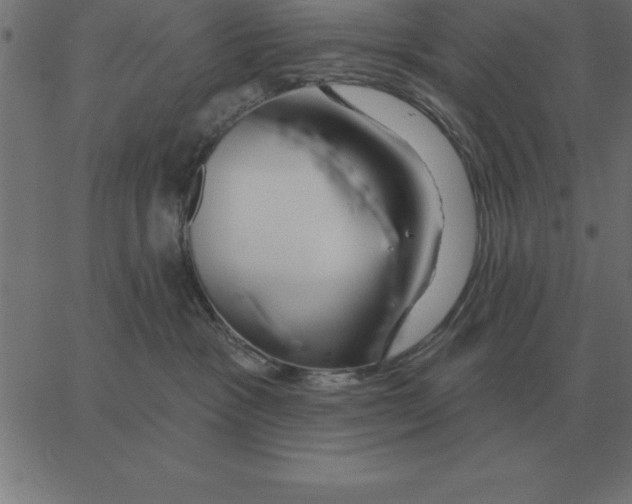 X0000067370333200604281757