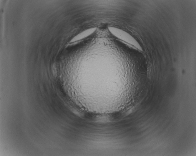 X0000067370335200604281757