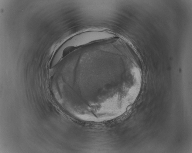 X0000067370337200604281756