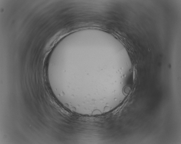 X0000067370339200604281756