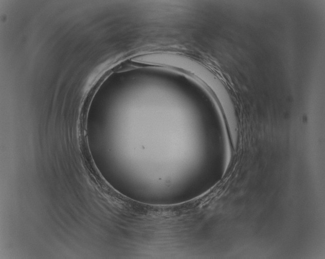 X0000067370340200604281756
