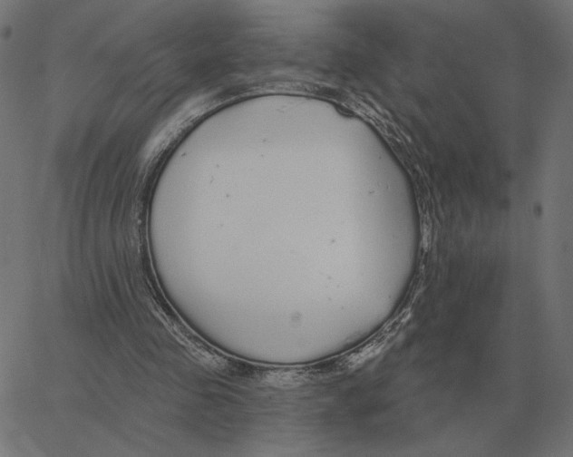 X0000067370341200604281756