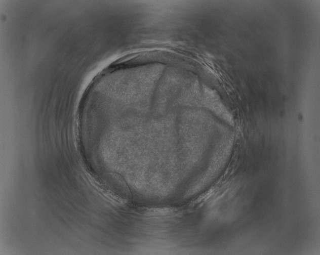 X0000067370342200604281756