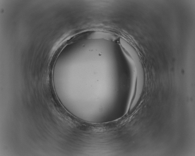 X0000067370344200604281756