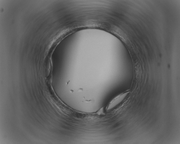X0000067370350200604281756