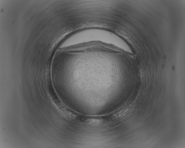 X0000067370352200604281756